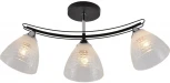 Потолочная люстра на штанге Seven Fires Dzhoun SF3382/3C-BK-CR-WT