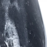 Настольная лампа Arte Lamp Rukbat A5046LT-1BK (220V)