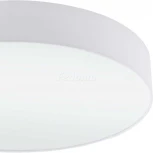 Настенно-потолочный светильник Eglo Pasteri 97611