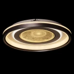 Потолочная люстра DeMarkt Норден 660014301 (LED, 220V, пульт управления, круглые)