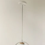 Подвесной светильник F-Promo Uccello 2939-1P (220V, на проводе, кольцо, птички)