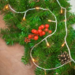 Гирлянда Ardecoled ARD-CURTAIN-HOME 024825