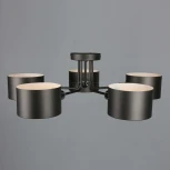 Потолочная люстра Omnilux Liser OML-54507-05 (220V)