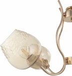 Подвесная люстра Arte Milano Amalfi-7556 337556/5 FGD (220V, на цепи)