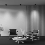 Потолочный светильник Maytoni Spark C094-GU10-B (220V, круглые)