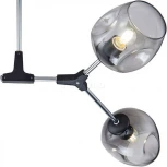 Потолочная люстра Freya Desi FR5006CL-04B (220V, молекулы)
