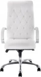 Компьютерное кресло Woodville Osiris white / satin chrome 15425