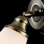 Спот Freya Jasinta FR2272-WL-01-BS (220V, круглые)