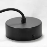 Подвесной светильник Lussole Lgo Maricopa LSP-8118 (220V, на проводе, шар, IP21)