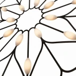 Подвесной светильник Maytoni Volare MOD037PL-L16B (LED, 220V, на тросе, цветы, круглые)