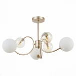 Люстра потолочная на штанге светодиодная Formae SLE220922-06