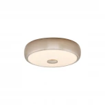 Настенно-потолочный светильник Citilux Foster-3 CL706321