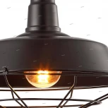 Подвесной светильник Arte Lamp Pandora A9183SP-1BK (220V, на цепи, круглые)