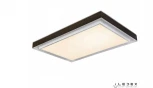 Потолочный светильник iLedex Summery B6233-196W/930*630 WH
