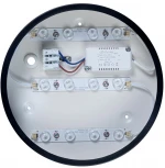 Потолочный светильник круглый Loft IT Axel 10002/12 Black (LED, 220V, круглые)