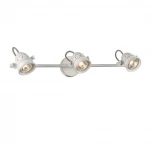 Спот на штанге Citilux Веймар CL537532 (220V, круглые)