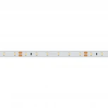 Светодиодная лента Arlight RTW 2-5000PS 024566