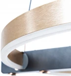 Подвесной светильник Arte Lamp Veritate A2221SP-1BR (LED, 220V, пульт управления, на тросе)