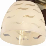 Спот Toplight Shayla TL3730Y-02BB