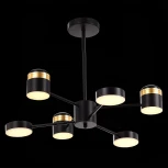 Потолочная люстра на штанге Evoluce Tezze SLE6007-402-06
