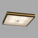 Настенно-потолочный светильник Citilux Kvattro CL940421