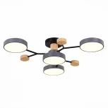 Потолочная люстра на штанге Evoluce Faema SLE6006-702-04