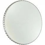 Настенно-потолочный светильник Sonex Dina 2077/DL