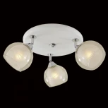 Потолочная люстра Citilux Самба CL158131 (220V)