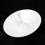 Подвесной светильник светодиодный Lussole Irvine LSP-7341 (220V, на проводе, круглые)