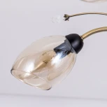 Потолочная люстра на штанге Citilux Комета CL108155 (220V, шарики)