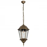 Уличный светильник подвесной Arte Lamp Genova A1204SO-1BN