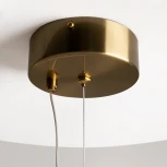 Подвесной светильник с гибким неоном Maytoni Oasis MOD289PL-L44BS3K (LED, 220V, на тросе)