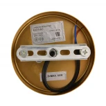 Потолочная люстра на штанге Lumion Larina 8323/5C латунь/белый, металл/стекло/дерево E27 5*60W 220V