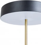 Настольная лампа Arte Lamp Elnath A5038LT-3BK