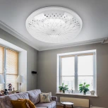 Потолочный светильник круглый светодиодный ЭРА SPB-6-24-6,5K Feya (220V, круглые)