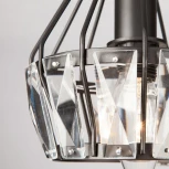 Потолочная люстра Eurosvet Lord 70075/5 черный (220V)