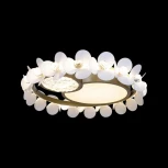 Потолочный светильник Bride 10173 (LED, 220V, цветы, круглые)