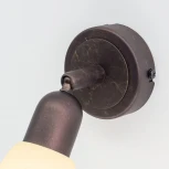 Спот Citilux Ронда CL506514 (220V, круглые)