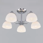 Потолочная люстра Eurosvet Carissa 30172/5 хром