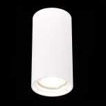 Светильник потолочный ST155 Gipsum ST155.502.01 ST Luce (220V, круглые)