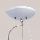 Подвесная люстра DeMarkt Фризанте 687010601 (регулировка яркости, LED, 220V, диммер, пульт управления, на тросе)