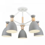 Потолочная люстра Freya Delia FR5033CL-05W