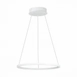 Подвесной светильник ST Luce St603 in ST603.543.22 (LED, 220V, на тросе, кольцо)