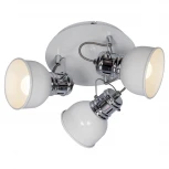 Спот Lussole Lgo Carrizo LSP-9956 (220V, круглые, IP21)