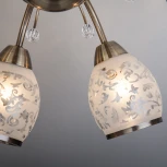 Потолочная люстра Eurosvet 30026 30026/8 античная бронза (220V, лепестки)