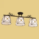 Потолочная люстра Citilux Дрезден CL409232 (220V)