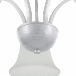 Потолочная люстра Arte Milano Napoli-1254 331254/5 WT+SL (220V)