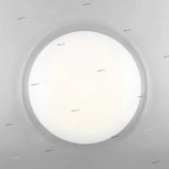 Потолочный светильник Omnilux Orion OML-43107-60