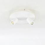 Настенно-потолочный светодиодный светильник 20046LED 20046SMA/02LED WH 28Вт, металл/акрил, белый (220V, круглые)