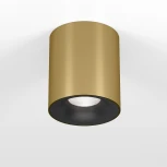 Светильник потолочный светодиодный Elektrostandard Primo 25116/LED 12W 4000K латунь 12W 4000K латунь (220V, круглые)